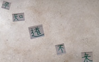 真敢言！國安主帥賽蒂恩，知場地差則不來。
