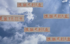 大魚(yú)浮頭，夏窗中超購(gòu)人潮，申花南多，前海港奇塔。