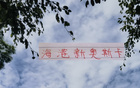 海港迎奧斯卡，非巴西11號。
