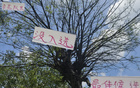 中超17輪，最佳球員候選無吳曦，如何達成？