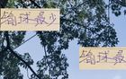 23輪后，北京國安輸3場，申花多敗一場。