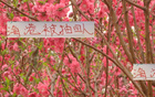 海港9月抽調(diào)多，前四靠外援。與鄰不同，實(shí)力強(qiáng)。