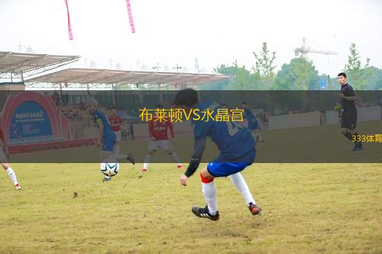布萊頓VS水晶宮