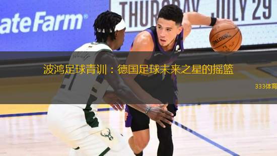 波鴻足球青訓(xùn)：德國足球未來之星的搖籃