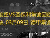 德甲-范德海登破門阿穆拉扳平沃爾夫斯堡1-1圣保利