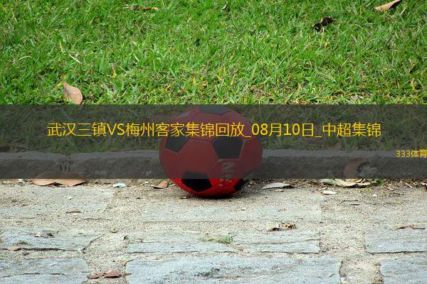 中超第20輪武漢三鎮(zhèn)vs梅州客家進球視頻