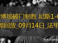 法甲-博加破門制勝尼斯1-0南特