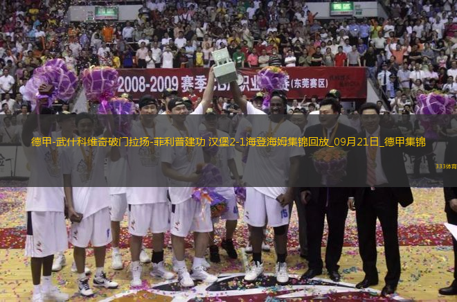 德甲-武什科維奇破門拉揚(yáng)-菲利普建功漢堡2-1海登海姆