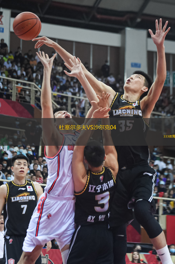 杜塞爾多夫VS沙爾克04