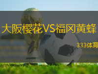 大阪櫻花VS福岡黃蜂