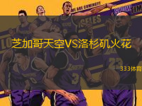芝加哥天空VS洛杉磯火花