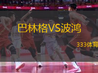 巴林格VS波鴻
