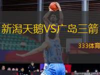 新潟天鵝VS廣島三箭