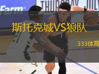 斯托克城VS狼隊