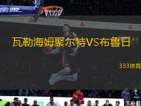 瓦勒海姆聚爾特VS布魯日