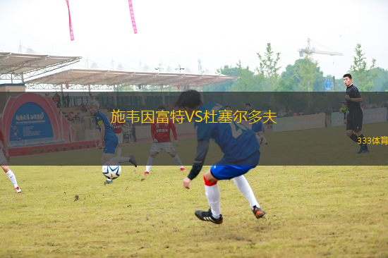 施韋因富特VS杜塞爾多夫