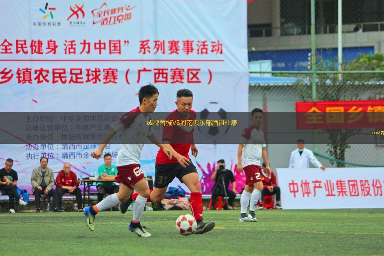 成都蓉城VS河南俱樂部酒祖杜康