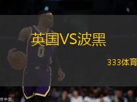 英國(guó)VS波黑
