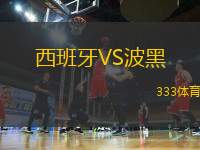 西班牙VS波黑