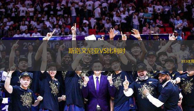 斯洛文尼亞VS比利時