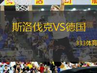 斯洛伐克VS德國