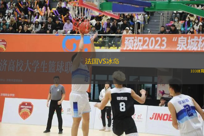 法國(guó)VS冰島