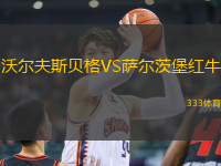 沃爾夫斯貝格VS薩爾茨堡紅牛