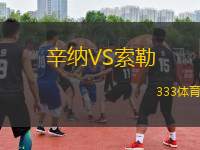 辛納VS索勒