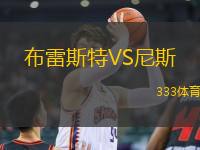 布雷斯特VS尼斯