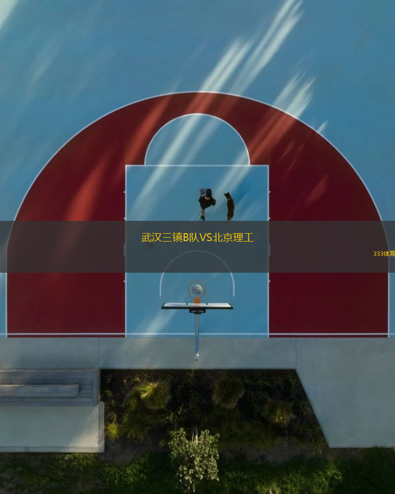武漢三鎮(zhèn)B隊VS北京理工