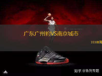 廣東廣州豹VS南京城市