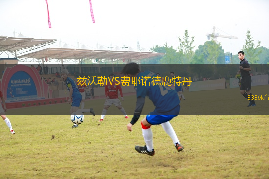 茲沃勒VS費(fèi)耶諾德鹿特丹