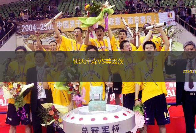 勒沃庫森VS美因茨