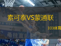 素可泰VS蒙通聯(lián)