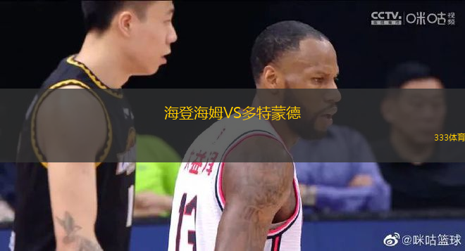 海登海姆VS多特蒙德