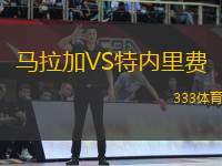 馬拉加VS特內(nèi)里費(fèi)