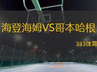 海登海姆VS哥本哈根