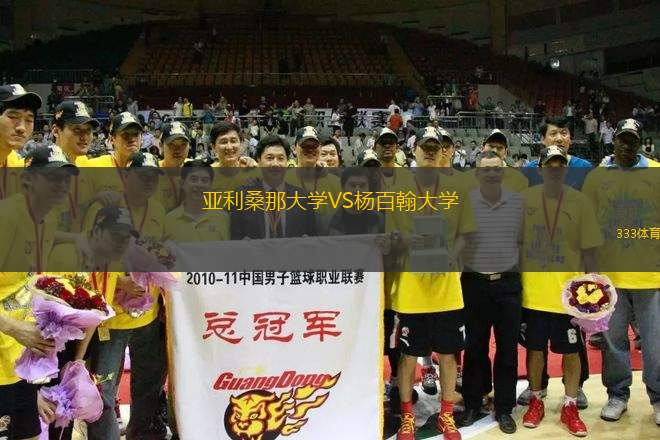 亞利桑那大學(xué)VS楊百翰大學(xué)