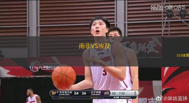 南非VS埃及