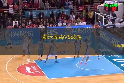 勒沃庫森VS波鴻