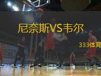 尼奈斯VS韋爾