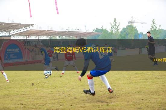 海登海姆VS勒沃庫森