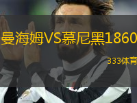 曼海姆VS慕尼黑1860