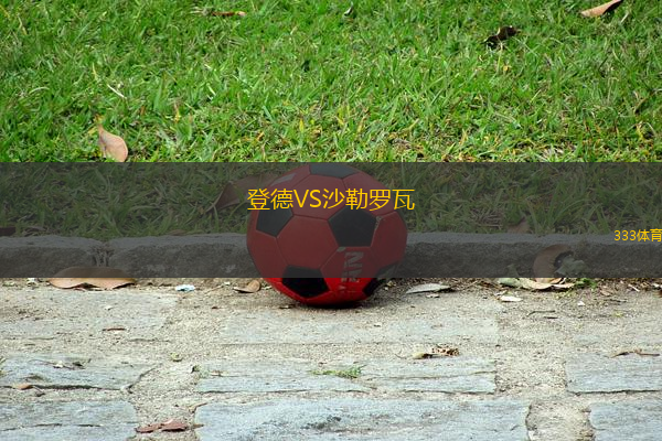 登德VS沙勒羅瓦