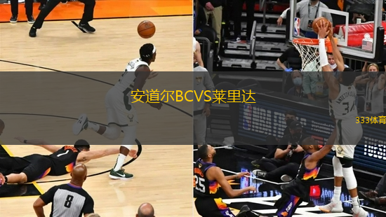 安道爾BCVS萊里達