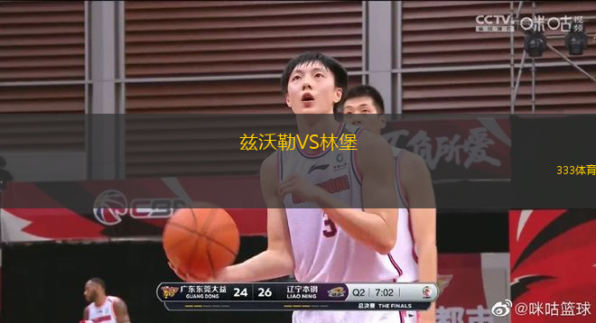 茲沃勒VS林堡
